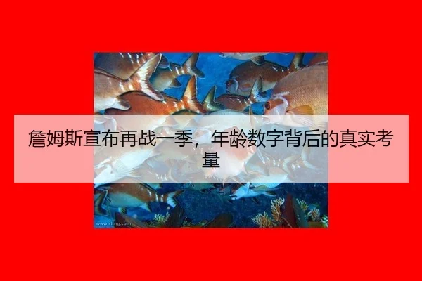 詹姆斯宣布再战一季，年龄数字背后的真实考量